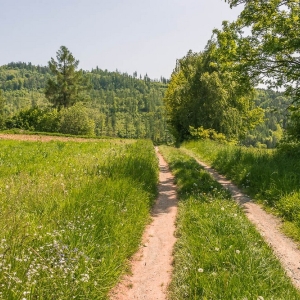 dwie-wieze-swietych-fot-ewajak42.jpg