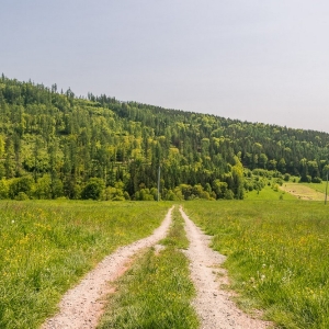 dwie-wieze-swietych-fot-ewajak43.jpg