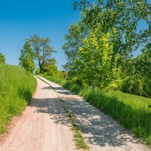 dwie-wieze-swietych-fot-ewajak47.jpg