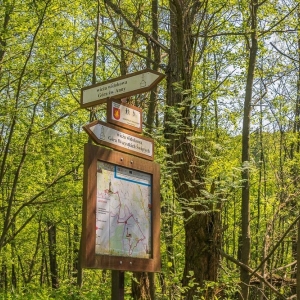 dwie-wieze-swietych-fot-ewajak48.jpg