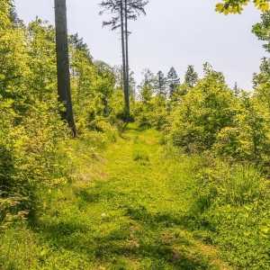dwie-wieze-swietych-fot-ewajak49.jpg
