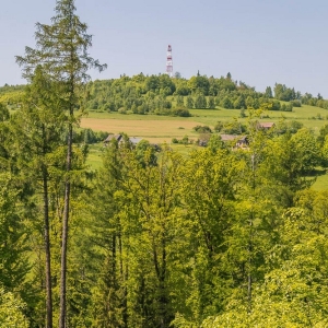 dwie-wieze-swietych-fot-ewajak50.jpg