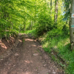 dwie-wieze-swietych-fot-ewajak53.jpg