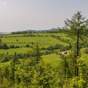 dwie-wieze-swietych-fot-ewajak54.jpg
