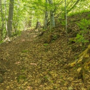 dwie-wieze-swietych-fot-ewajak55.jpg