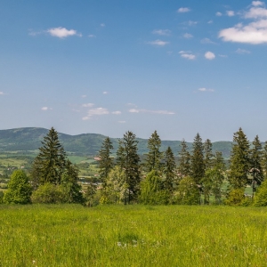 dwie-wieze-swietych-fot-ewajak83.jpg