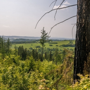 dwie-wieze-swietych-fot-ewajak85.jpg