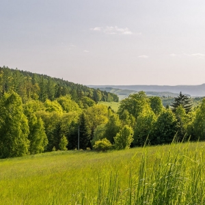 dwie-wieze-swietych-fot-ewajak89.jpg