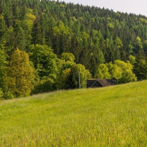 dwie-wieze-swietych-fot-ewajak91.jpg