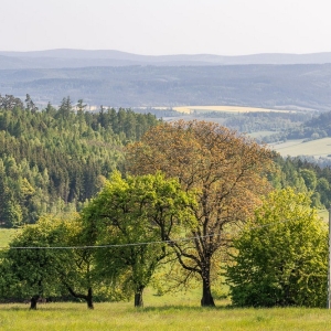 dwie-wieze-swietych-fot-ewajak92.jpg