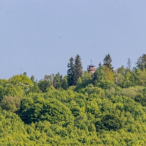 dwie-wieze-swietych-fot-ewajak93.jpg