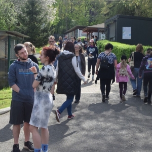 psiatanie_legnica_fot_dawid_soltys05.jpg