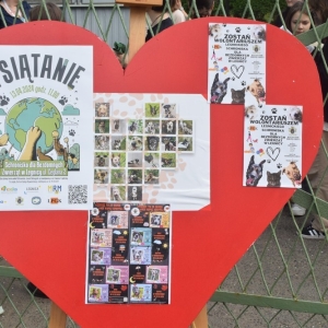 psiatanie_legnica_fot_dawid_soltys46.jpg