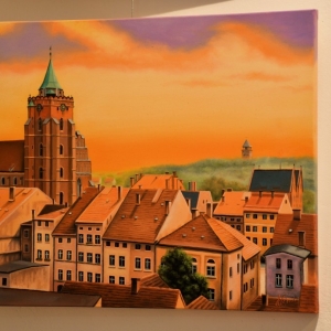 pozegnanie-krzaka-fot-zjak06.jpg