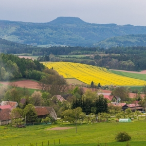 wieza-suszynka-fot-ewajak25.jpg