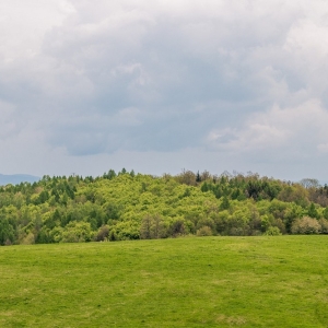 wieza-suszynka-fot-ewajak30.jpg