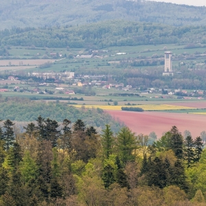 wieza-suszynka-fot-ewajak42.jpg