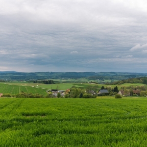 wieza-suszynka-fot-ewajak51.jpg