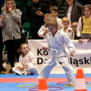 karate-puchar-fot-jakub-wieczorek039.jpg