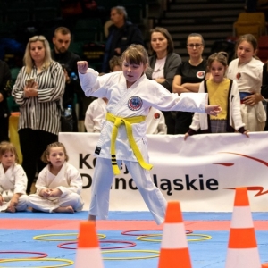 karate-puchar-fot-jakub-wieczorek047.jpg