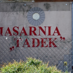 labedzi-bieg-fot-zjak057.jpg
