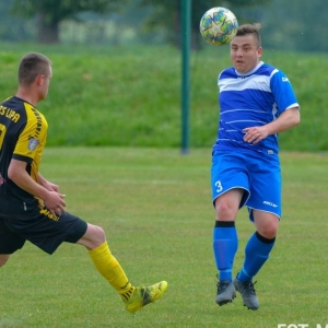 mecinka-lipa-fot-marcin-juszczyk23.jpg