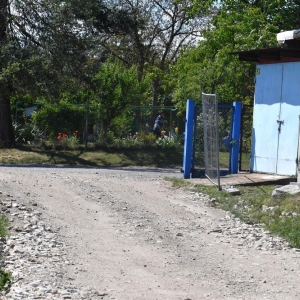 boisko-miedzi-swierkowa-fot-ewajak081.jpg
