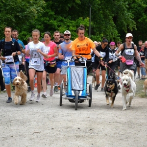 bieg-na-4-lapy-fot-ewajak190.jpg