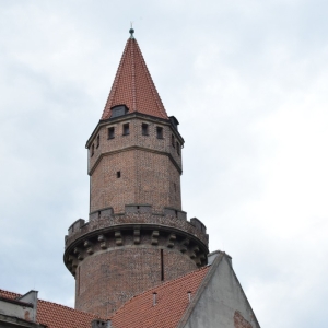 noc_muzeum24_fot_dawid_soltys62.jpg