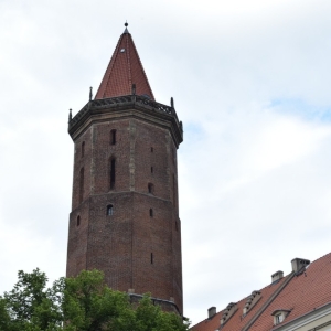 noc_muzeum24_fot_dawid_soltys63.jpg