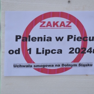 protest-zielony-lad-fot-zjak16.jpg