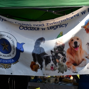 gminny-dzien-dziecka-fot-zjak104.jpg