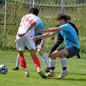 kochlice-koskowice-fot-ewajak024.jpg