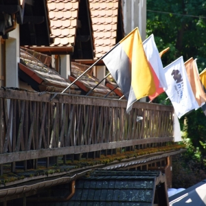plukanie-niepelnosprawni-fot-zjak036.JPG