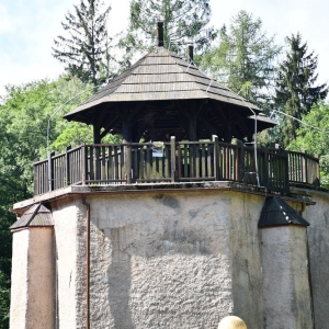 plukanie-niepelnosprawni-fot-zjak037.JPG