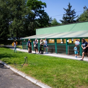 dzien-dziecka-schronisko-fot-jakub-wieczorek059.jpg