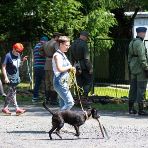 dzien-dziecka-schronisko-fot-jakub-wieczorek080.jpg