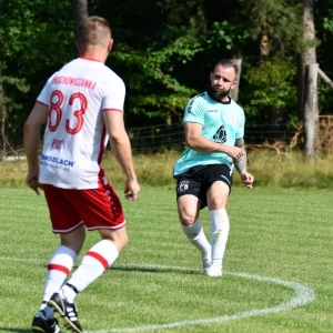 milogostowice-prochowiceII-fot-ewajak054.JPG