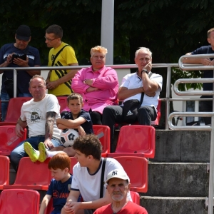 chojnow-scinawa-fot-ewajak020.JPG