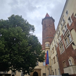 pobozny-henryk-fot-jagoda-balicka40.jpg