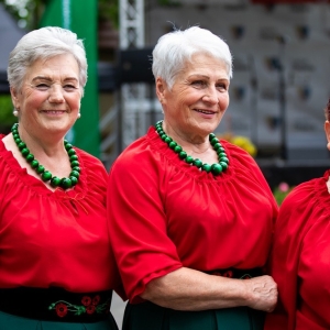 Festiwal-Muzyki-Biesiadnej-w-Niedzwiedzicach-fot-jakub-wieczorek018.jpg