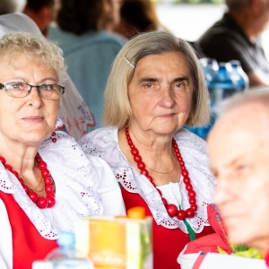 Festiwal-Muzyki-Biesiadnej-w-Niedzwiedzicach-fot-jakub-wieczorek045.jpg