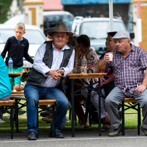 Festiwal-Muzyki-Biesiadnej-w-Niedzwiedzicach-fot-jakub-wieczorek084.jpg