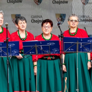 Festiwal-Muzyki-Biesiadnej-w-Niedzwiedzicach-fot-jakub-wieczorek134.jpg