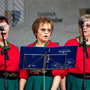 Festiwal-Muzyki-Biesiadnej-w-Niedzwiedzicach-fot-jakub-wieczorek136.jpg