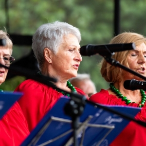 Festiwal-Muzyki-Biesiadnej-w-Niedzwiedzicach-fot-jakub-wieczorek170.jpg