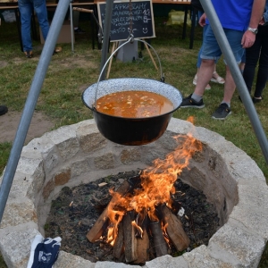 festiwal-zupy-fot-ewajak230.JPG