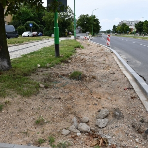 sciezki-pilsudskiego-fot-ewajak17.JPG