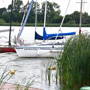 pompa-kunice-fot-zjak01.JPG