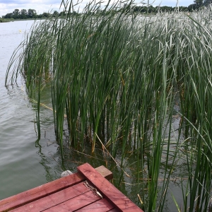 pompa-kunice-fot-zjak10.JPG